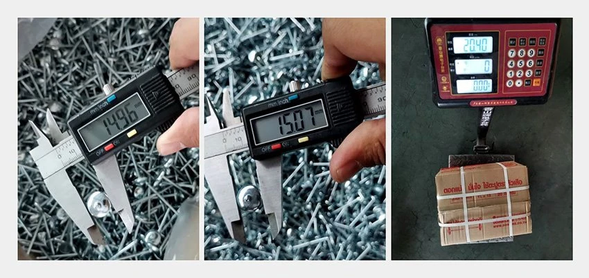 Hot Dipped Galvanized Umbrella Roofing Nails inspection